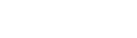 Eagle Software